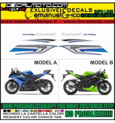 ZX-6R NINJA 2011